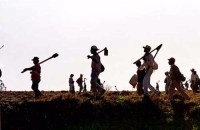 Produtor rural não responde por idoneidade de contranota, emitida por terceiros