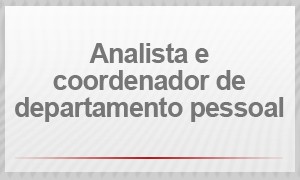 Analista e coordenador de departamento pessoal (Foto: G1)