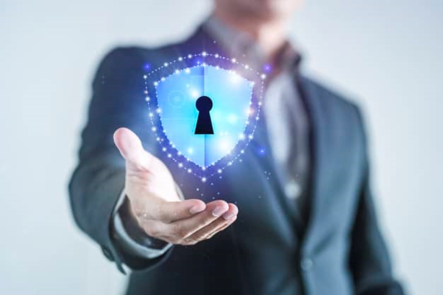 tipos de espécies de boleto