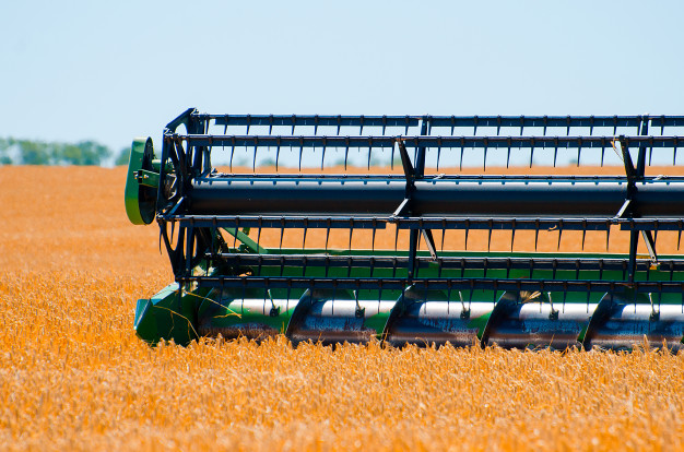 Designed by @rafodessa / freepik