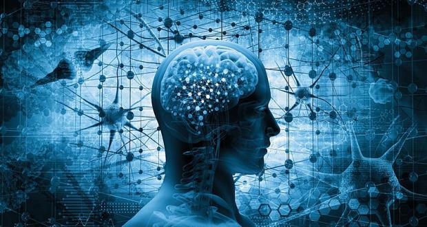 Designed by adike / shutterstock