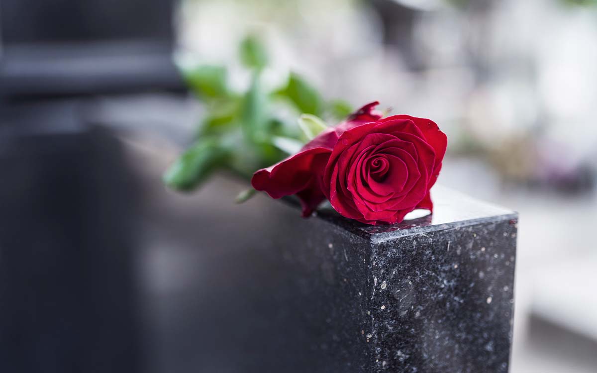 Imagem por @Dragana_Gordic / freepik