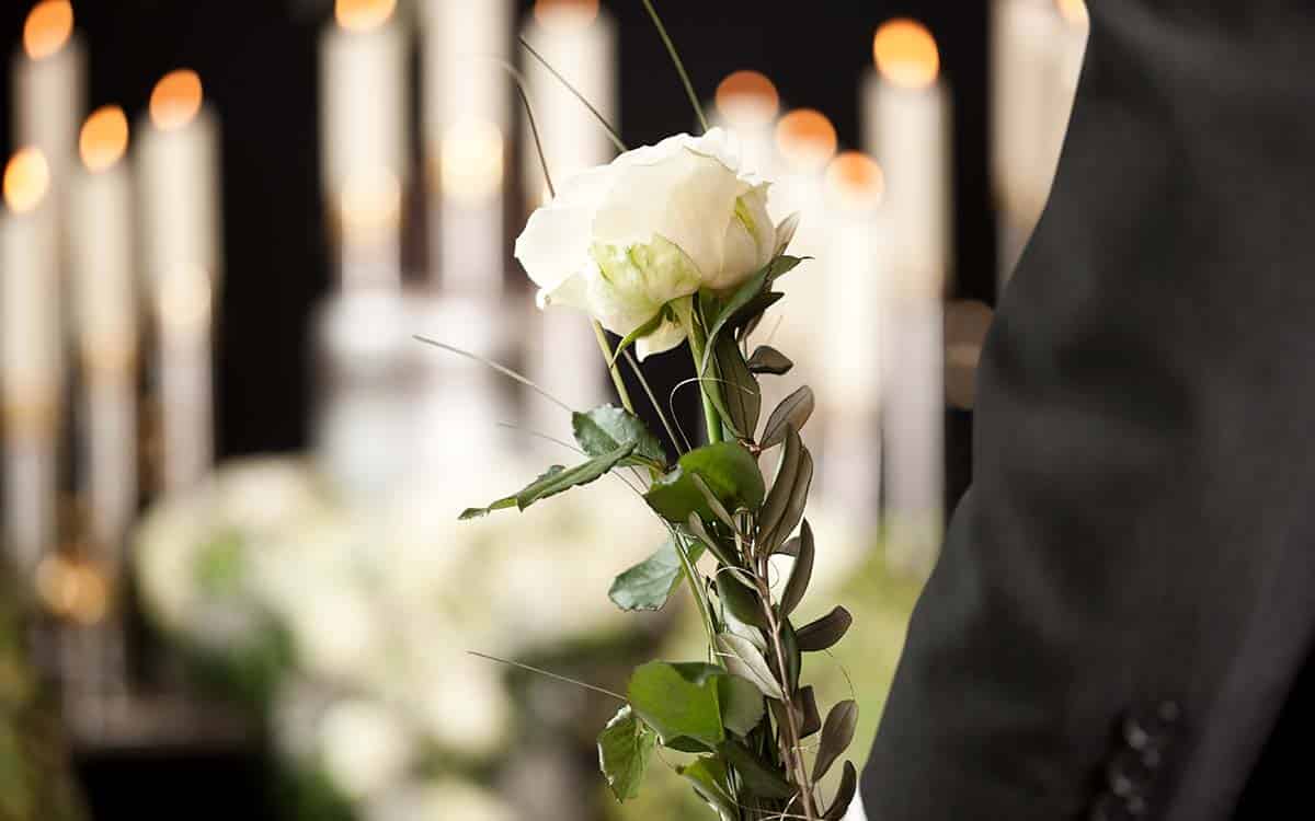 Imagem por @noxos / freepik