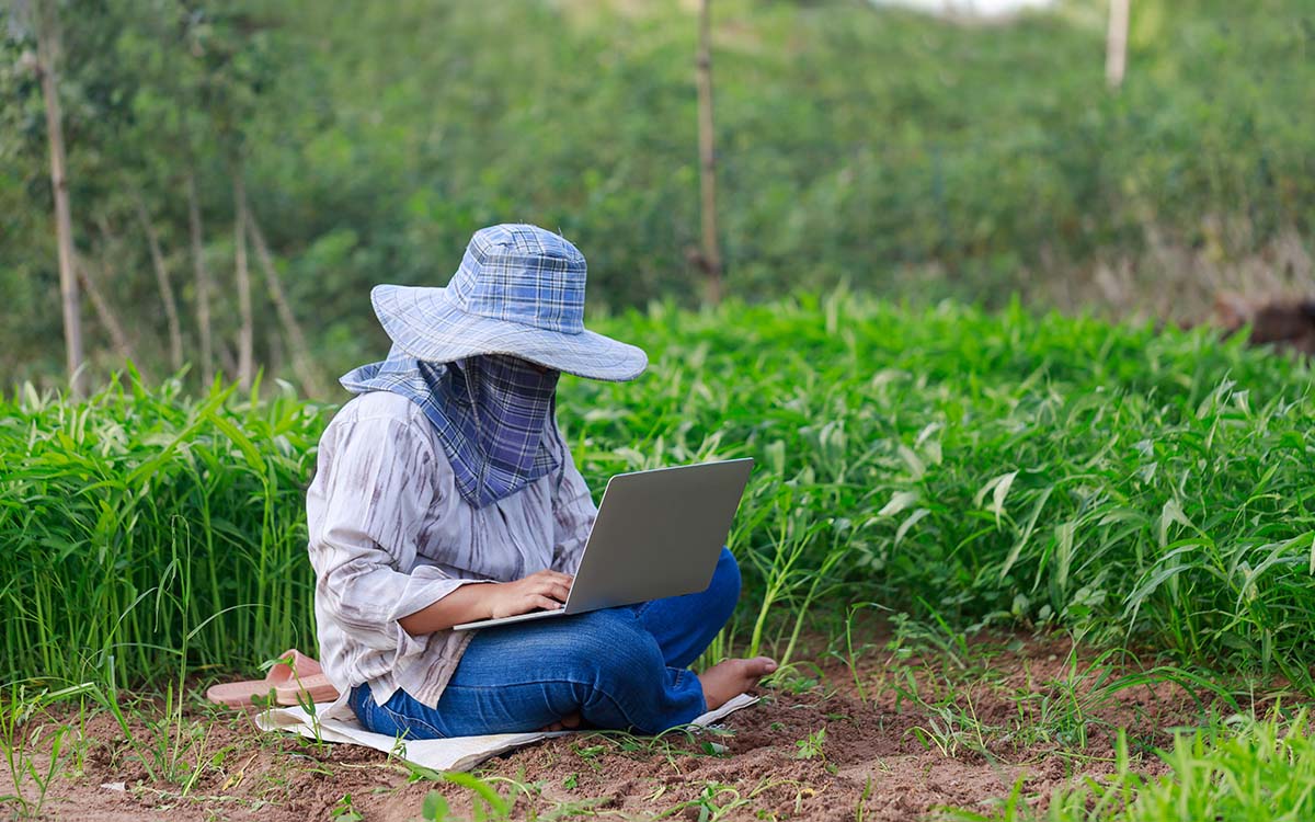 Imagem por @kaikoro / freepik