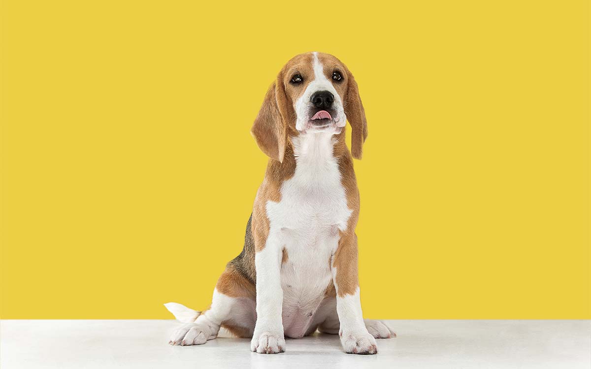 Imagem por @master1305 / freepik