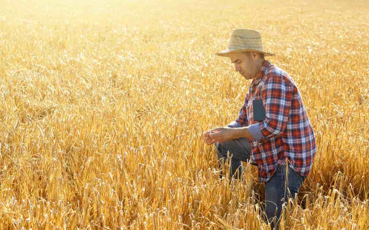 Imagem por @alexaalexa786uu / freepik