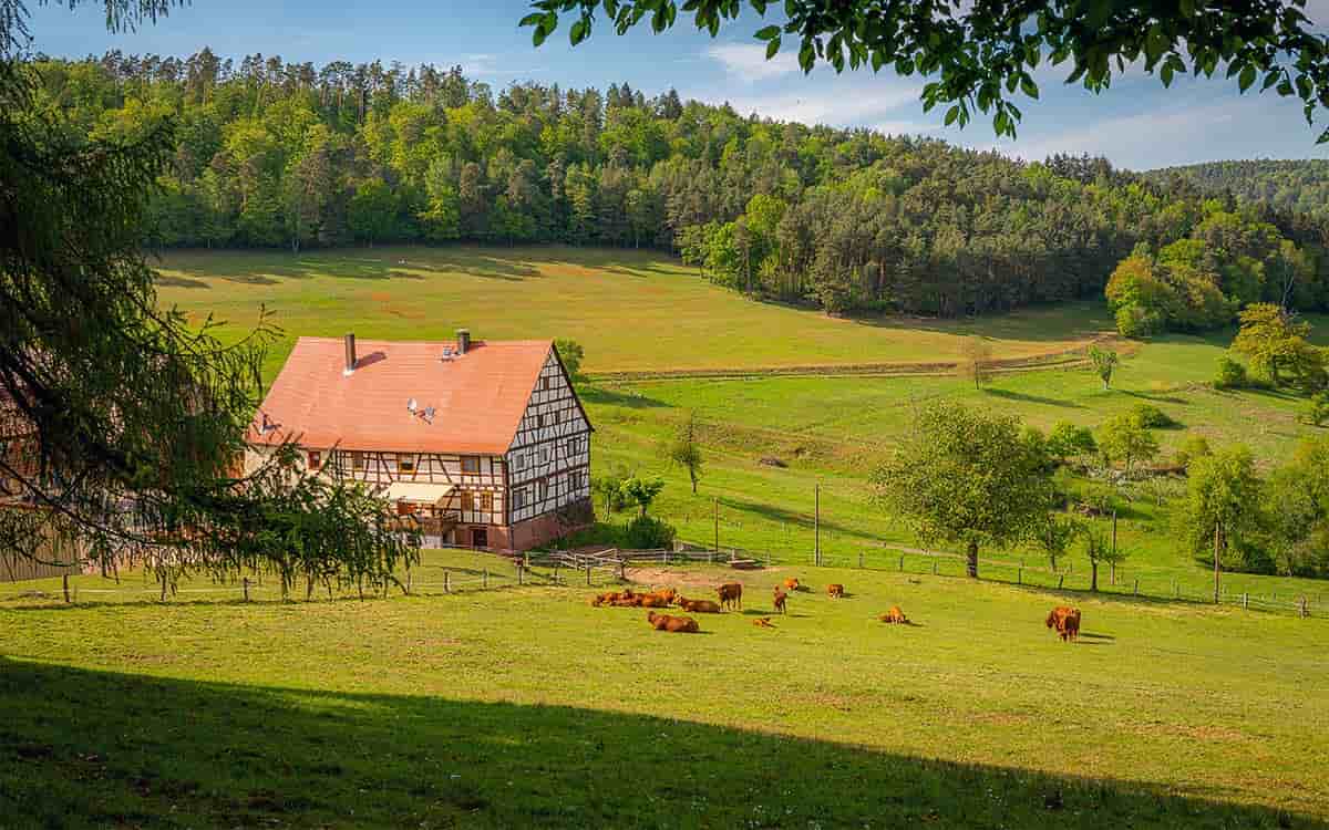 Imagem por @wirestock / freepik