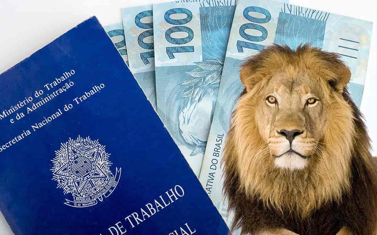 Imagem por @edsondesouzanascimento / @lifeonwhite / freepik / editado por Jornal Contábil