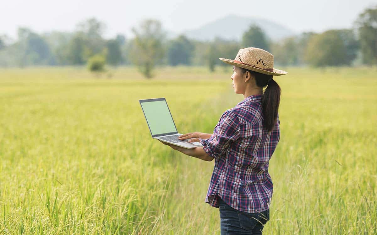 Imagem por @jcomp / freepik