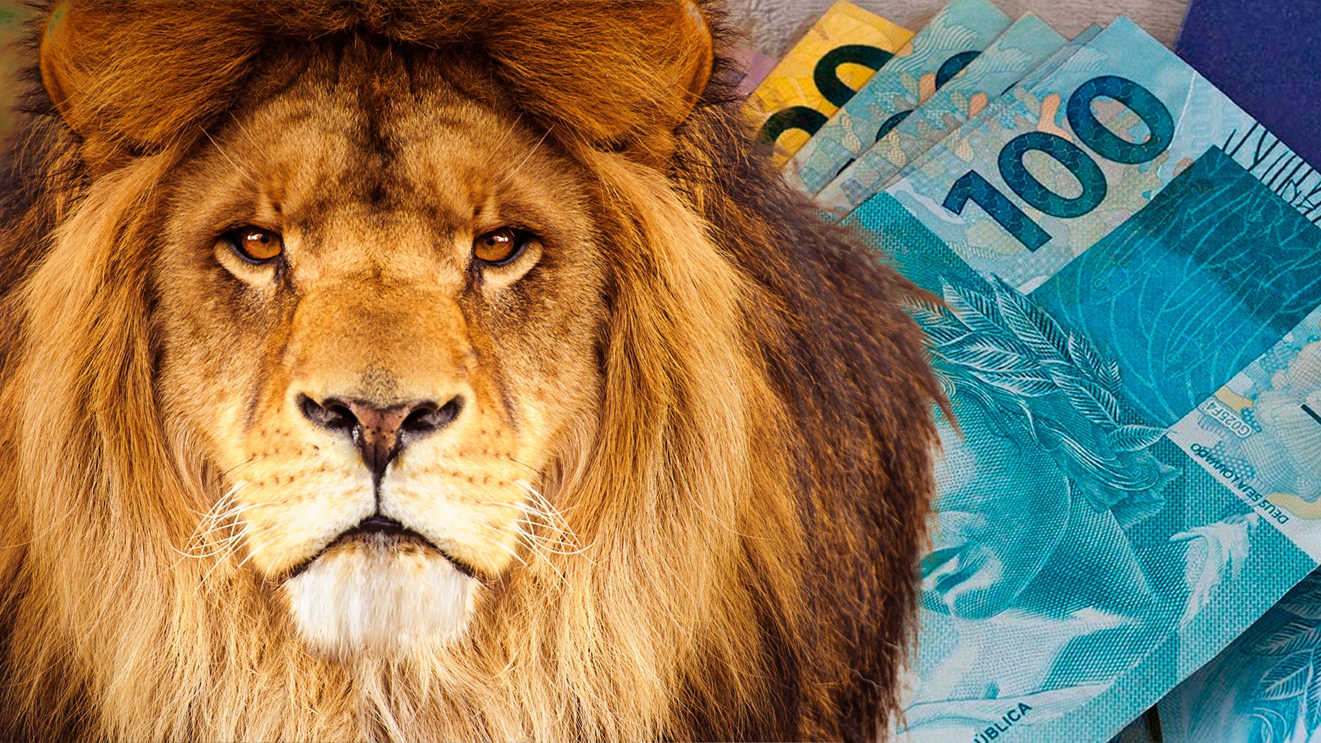 Imagem por @user23419387 / @artalvesmon / freepik / editado por Jornal Contábil