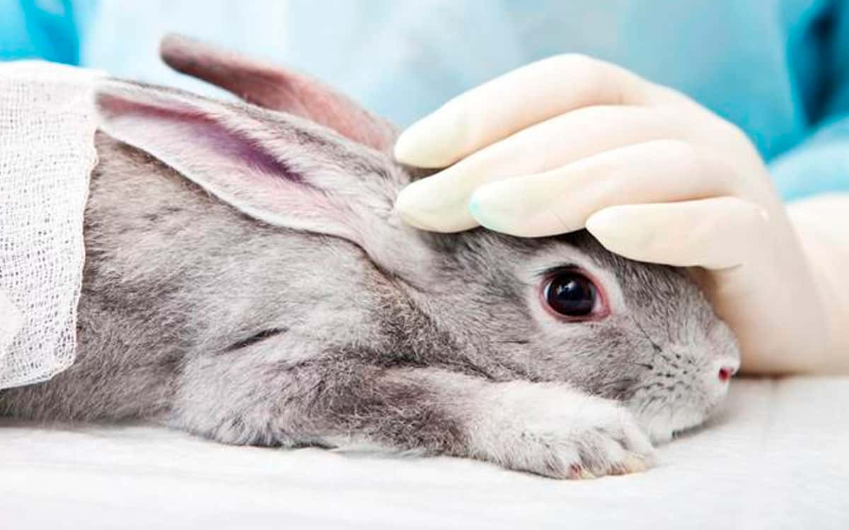 Getty Images/iStockphoto/direitos reservados