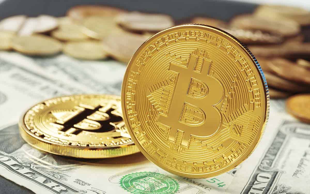 Imagem por @fabrikasimf / freepik