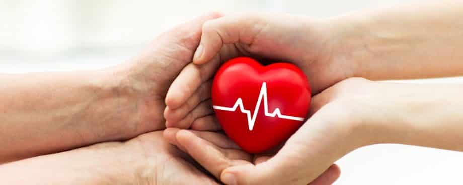 Imagem por @Syda Productions / shutterstock