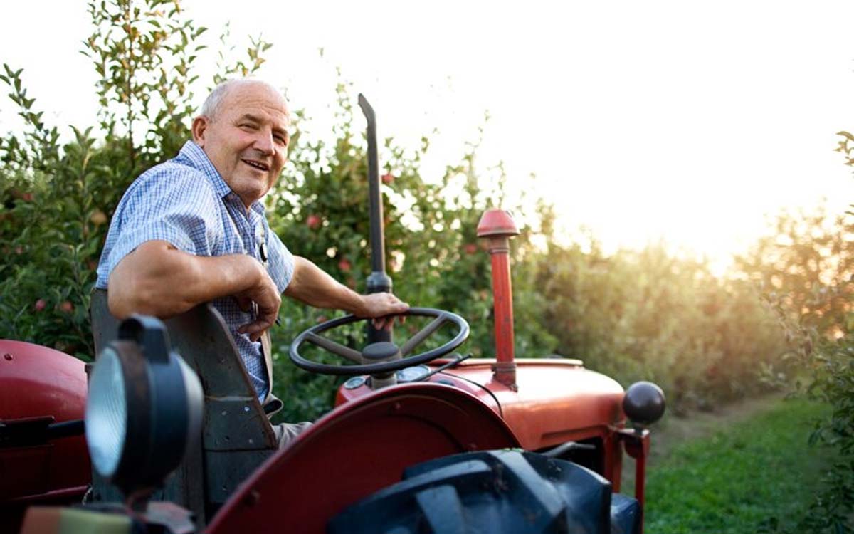 Imagem por @aleksandarlittlewolf / freepik