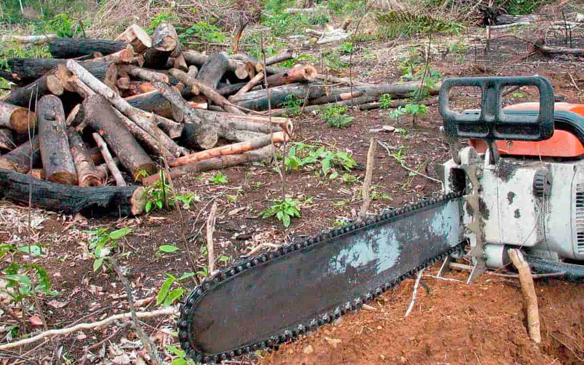 Imagem: Agência Brasil