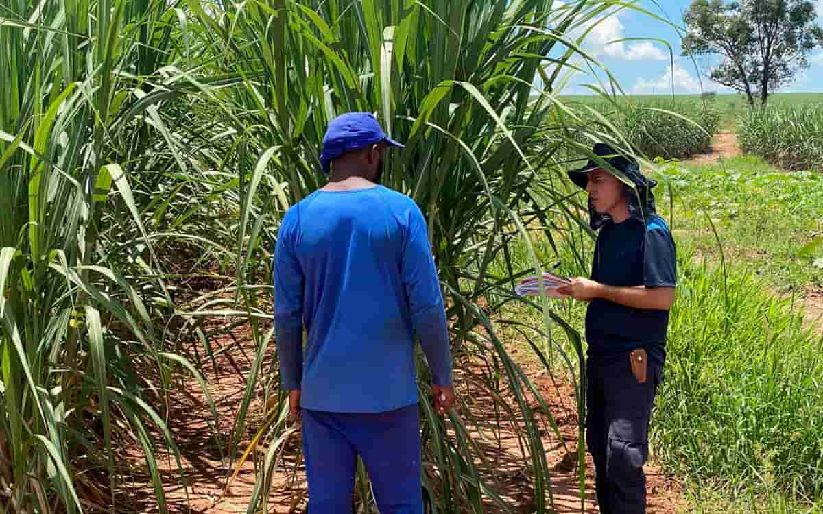 Foto: Divulgação / Detrae / Ministério do Trabalho e Previdência / Agência Brasil