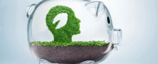 Pequenos negócios da economia verde podem concorrer a assistência técnica gratuita e participar da COP31